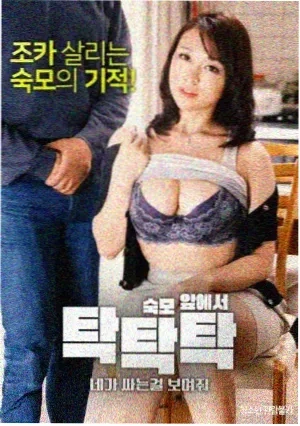 未来启示录 电视剧 2026